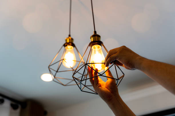 Best Electric Panel Repair  in Hanapepe, HI